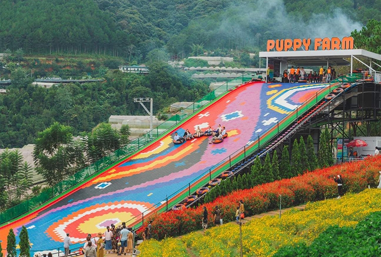 Tour Bạc Liêu Đà Lạt 3 ngày 3 đêm | Tour Tây Nguyên | Khám phá Langbiang - Puppy Farm - Quảng Trường Lâm Viên - Săn Mây Cầu Đất 
