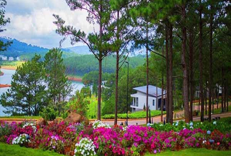 Tour Đồng Tháp Đà Lạt 3 ngày 3 đêm| Trải nghiệm Săn mây cầu đất - chinh phục đỉnh Langbiang - Thành phố ngàn hoa 